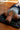 Paragon PEMF Frequency Mat - Holistix Intl